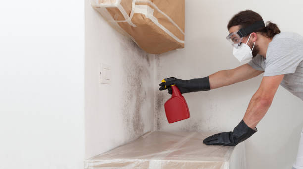Attic Mold Remediation treatment on roof deck in Shirleysburg